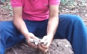 Braziliaanse man stopt vier ratelslangen in zijn mond