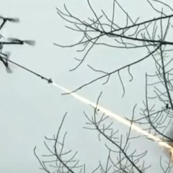 Drone vlammenwerper vs wespennesten