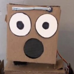 Kartonnen robot doet het goed als goochelaar