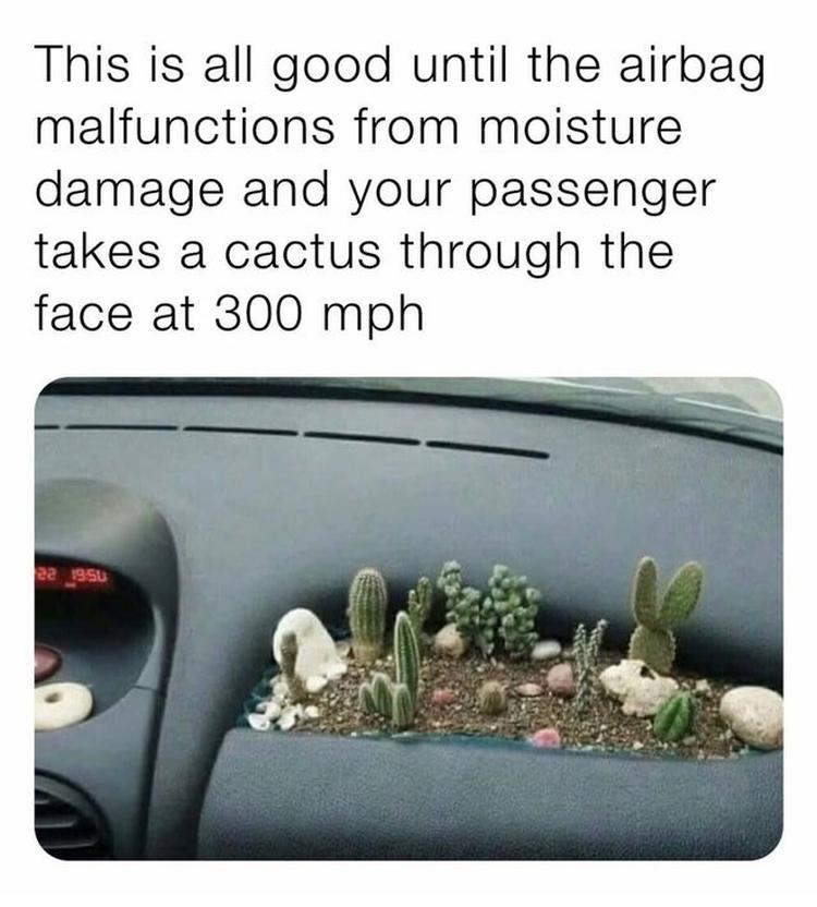 een airbag en een cactus
