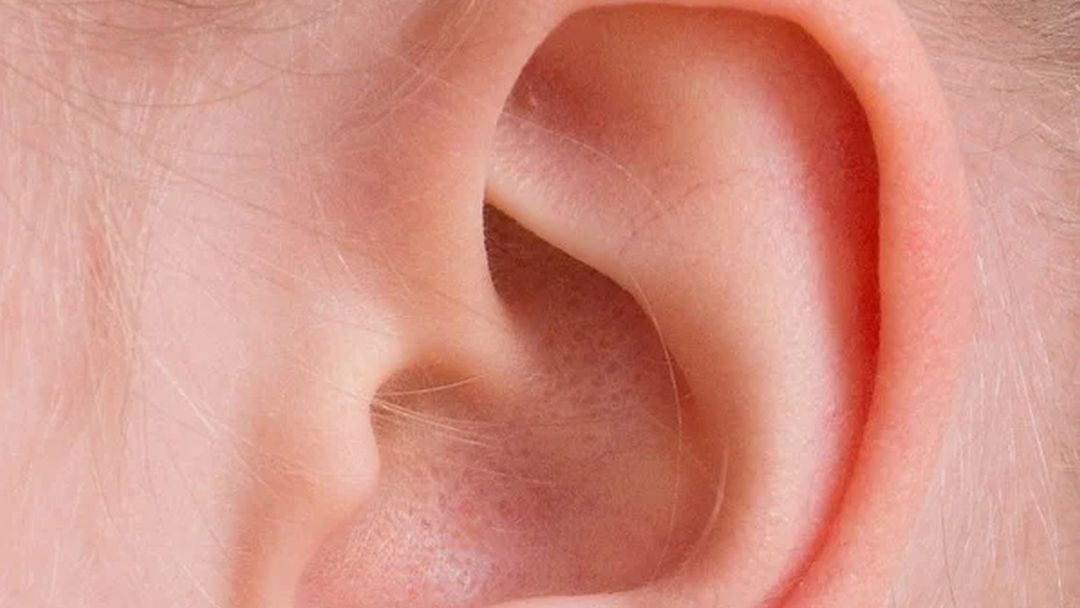 Kakkerlak in oor